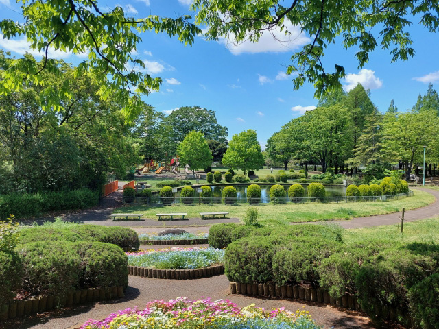 大崎公園など自然スポットのイメージ